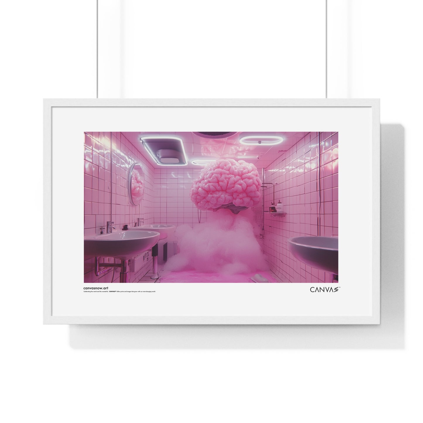 CANVAS™ PINK-BRAIN Landscape Framed Poster