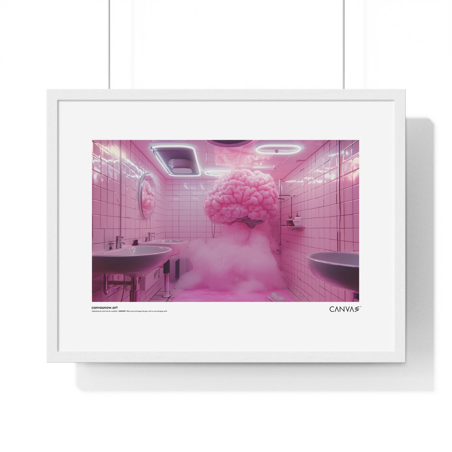 CANVAS™ PINK-BRAIN Landscape Framed Poster